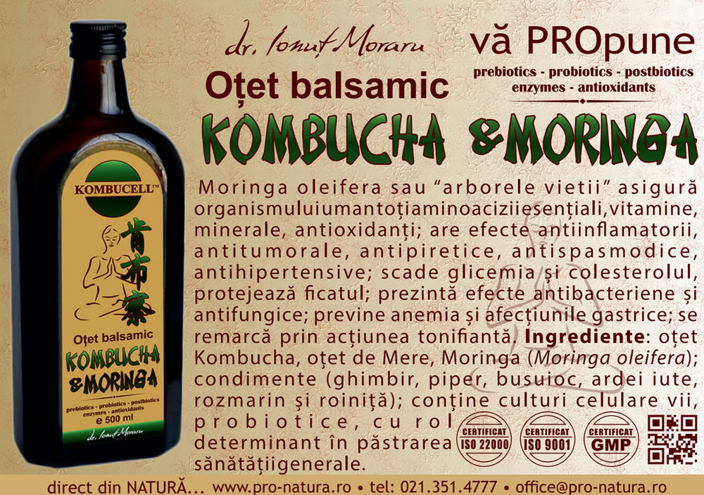 flyer-otet-balsamic-kombucha-moringa