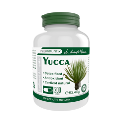 yucca 200 capsule