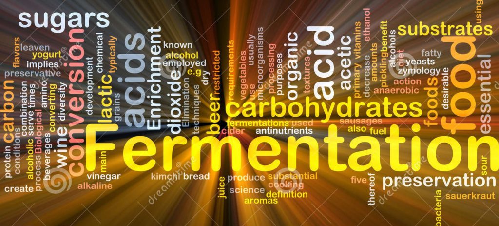 De ce este utilă fermentația suplimentelor alimentare?