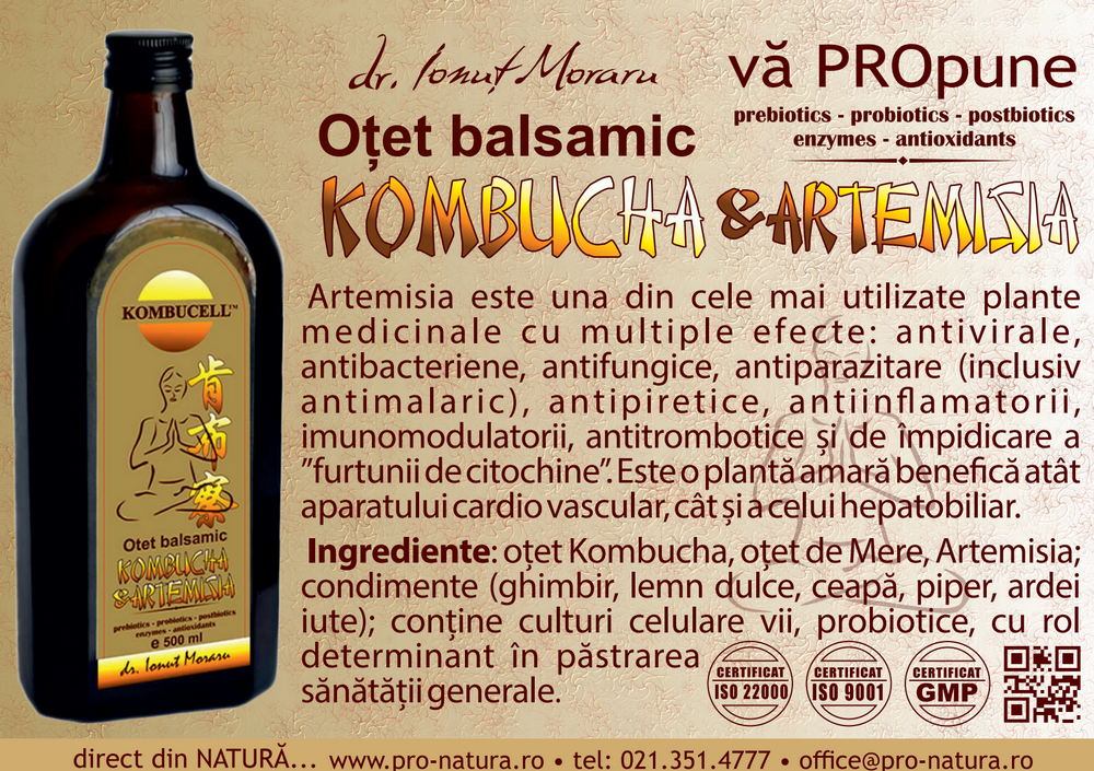 flyer-otet-balsamic-kombucha-artemisia