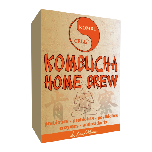 kombucha home brew