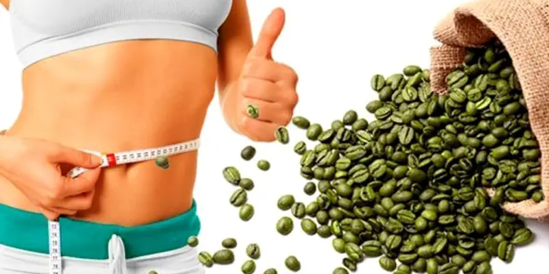 Acizii clorogeni din extractul de cafea verde pot contribui la pierderea în greutate