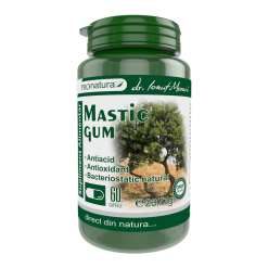 mastic gum 60 capsule